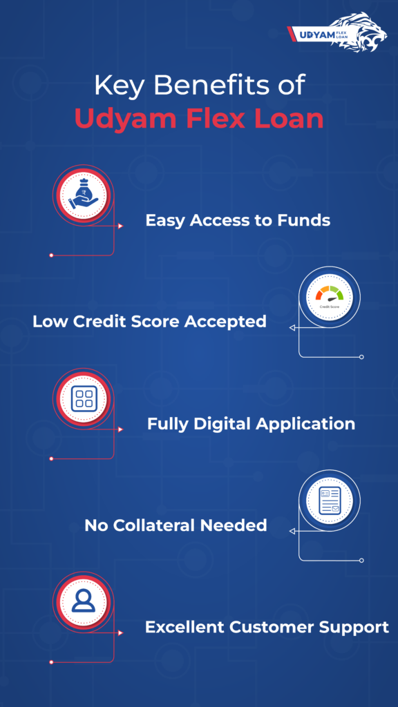 ​​Small Business Finance Made Easy Udyam Flex Loan-infographic